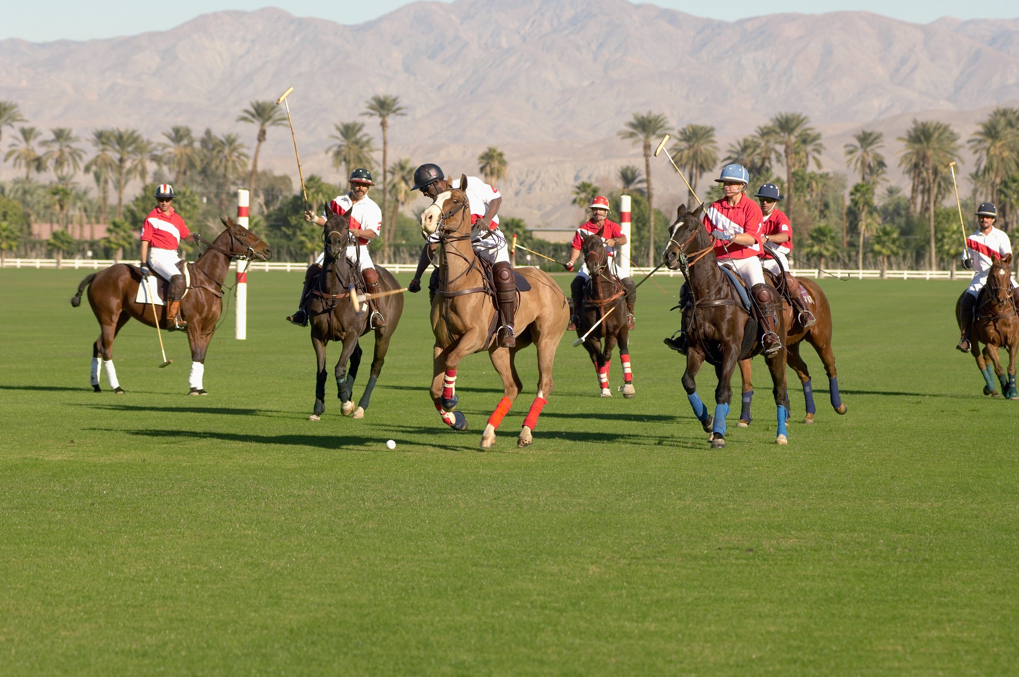 Find a Polo Group Near Me With Full Throttle Always